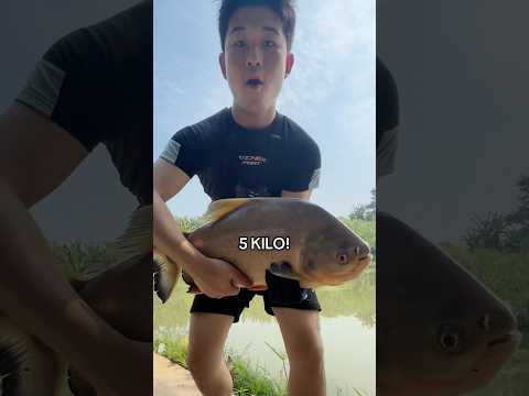 Aku Mancing Pake Bangkai Ikan