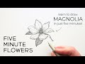 گل های پنج دقیقه ای MAGNOLIA آموزش کشیدن گل در کمتر از پنج دقیقه گل های پنج دقیقه ای MAGNOLIA آموزش کشیدن گل در کمتر از پنج دقیقه