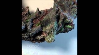 Famous Calla Soiled - Imp Waltz Profile