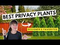 18 evergreen tall narrow plants for fence cover   growth rates for beautiful privacy plants