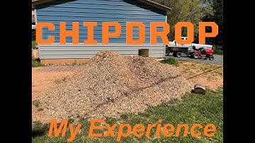 My experience with ChipDrop