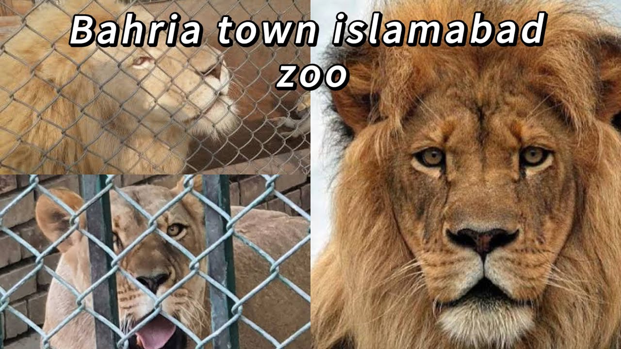 Bahria town islamabad zoo garden city zoo zoo in islamabad zoo