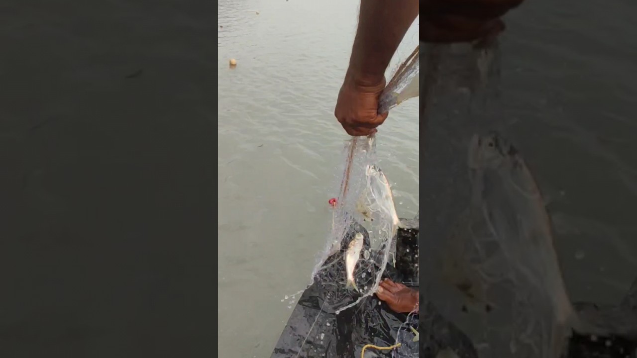 sundarban river fishing