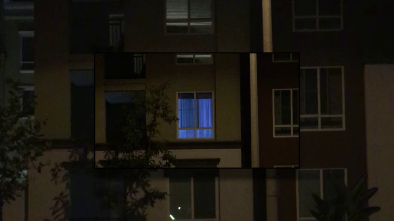 Eskimo Kisses - No Elation (Official Video)