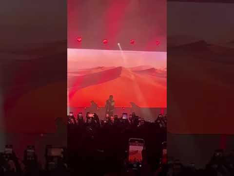 Al Shami Dwali الشامي في دوسلدورف المانيا دوالي 2024