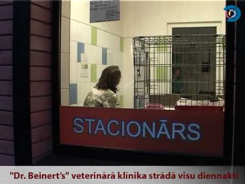 Video: Sargājiet Savu Kaķi Un ģimeni No Trakumsērgas Dienas Veterinārārsts