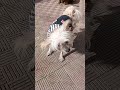 РґРѕР СЂРѕРµ СѓС СЂРѕ РѕС РіРѕСЂРѕС РєРѕР рџ вќ вќ вќ РґРѕР СЂРѕРµ СѓС СЂРѕ РѕС РіРѕСЂРѕС РєРѕР рџ вќ вќ вќ