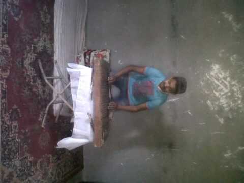 اغنيه كلام كتير من فيلم على وضعك