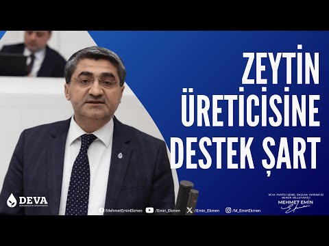 ZEYTİN ÜRETİCİSİNE DESTEK ŞART