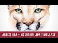 Artist Q&A - You Asked, I Answered! | Plus Mountain Lion Time Lapse
