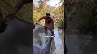 Cara Nangkap Ikan Disungai #nangkapikan #shorts