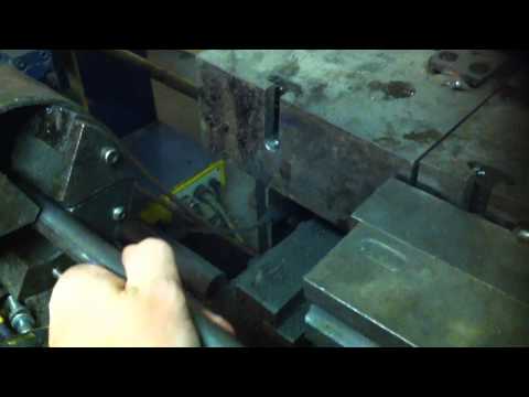 IMG 3686