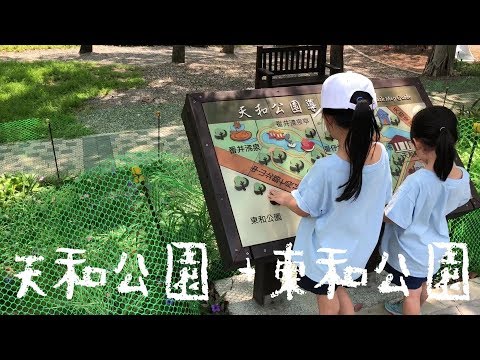 【多Q出遊趣】特色公園日：天和公園＋東和公園