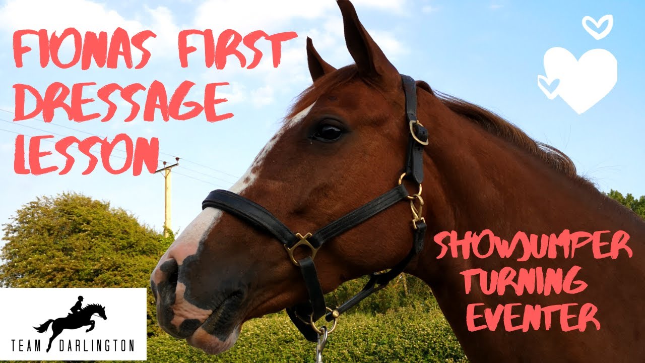 TEAM DARLINGTON || Fiona's First Dressage Lesson || Showjumper Turning Eventer (fingers crossed!)