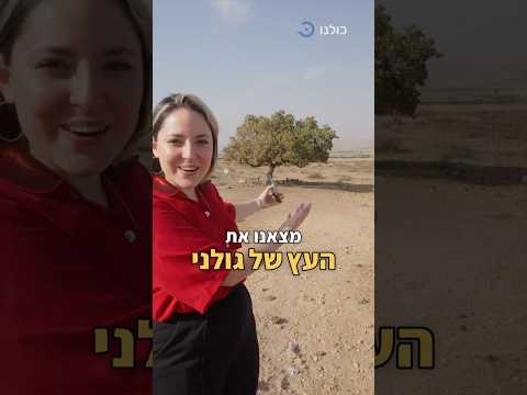 אין על גולני תרימו להם בתגובות 