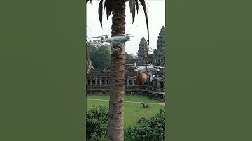 Drone crashes into coconut tree  #drone #videodrone #aivideo #fpv #ai #shorts