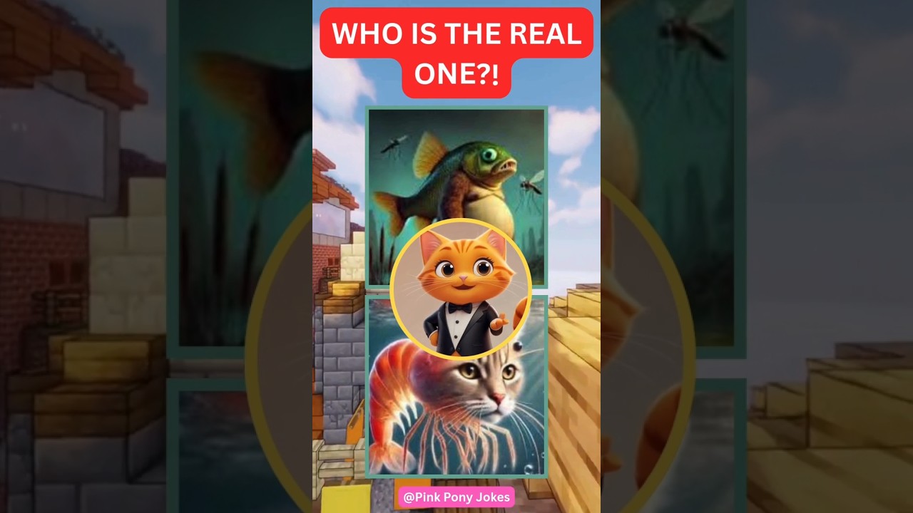 Who’s the REAL Trippi Troppi?! 🍤🐱 The Debate Ends HERE! 