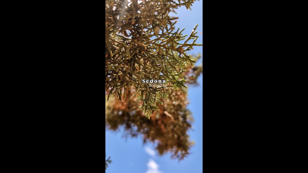 Repost from @fsupecas21