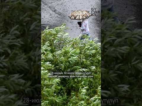 Video: Жалгыз калуунун 3 жолу