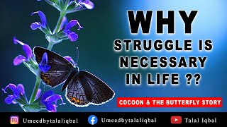 Powerful Motivational Video || Butterfly and Cocoon || Urdu Short Stories || Urdu Story || Struggle
