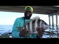 Tide Changes and the Sheeps Head FEED!!! Archie Glover Boat Launch Pensacola Florida Milton Florida