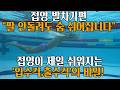 접영 팔돌리기 없이도 숨 쉴 수 있다고요? 몸이 붕~ 뜨는 '출수킥'의 비밀 접영 발차기편