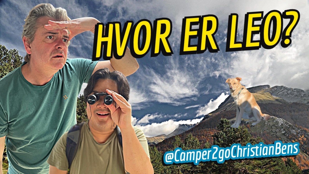 Vi troede, vi havde mistet Leo 😱 | Autocamper i bjergene ved Córdoba