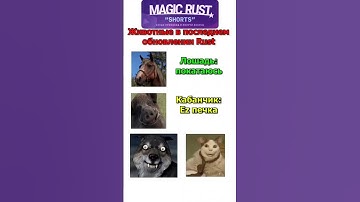 ‎@MAGICRUST сервера на любой вкус. #magic #rust #magicrust