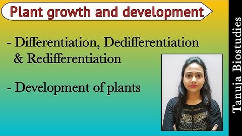 Differentiation, Dedifferentiation and Dedifferentiation | Plant growth and development | NEET/AIIMS