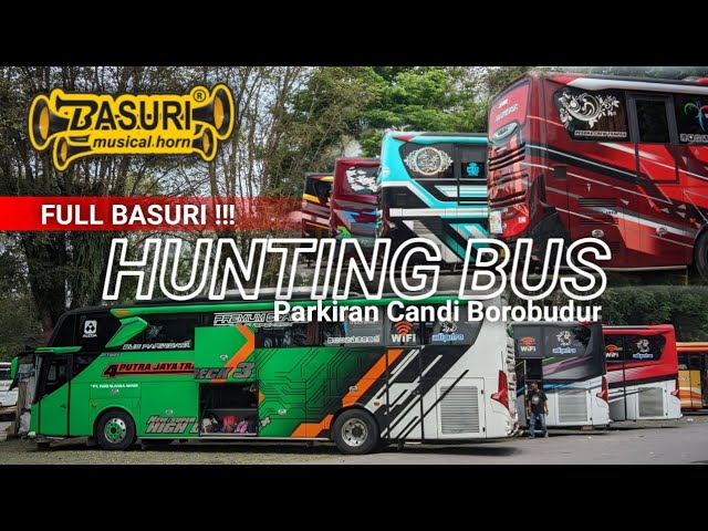 FULL BASURI ‼️ Hunting bus pariwisata di parkiran candi Borobudur ‼️ class=