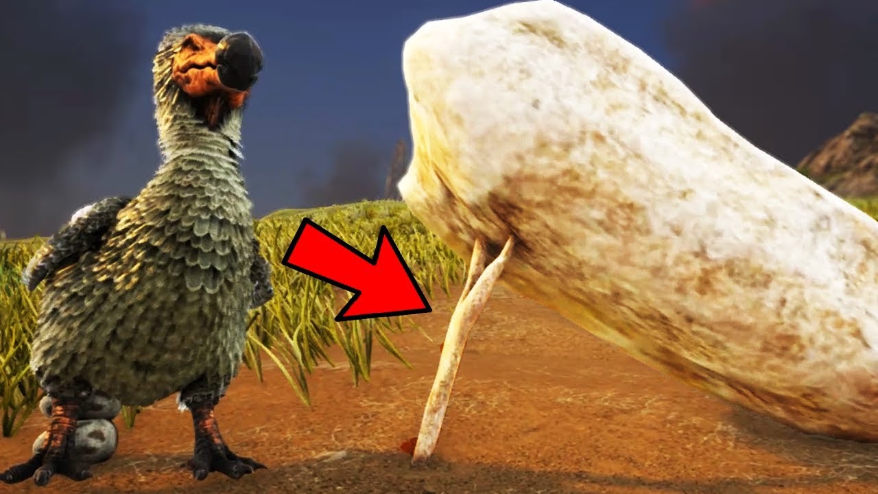 ARK:  PRIMITIVE TRAPPING & HUNTING, COOL STUFF! - Ark Survival Evolved Gameplay