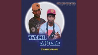 Talil Mulai