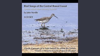 Download Lagu Snow Goose  Oie des neiges