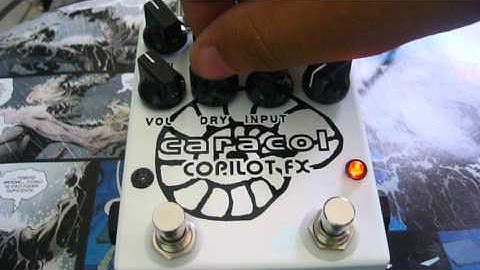 Custom Copilot Fx Caracol with oscillation