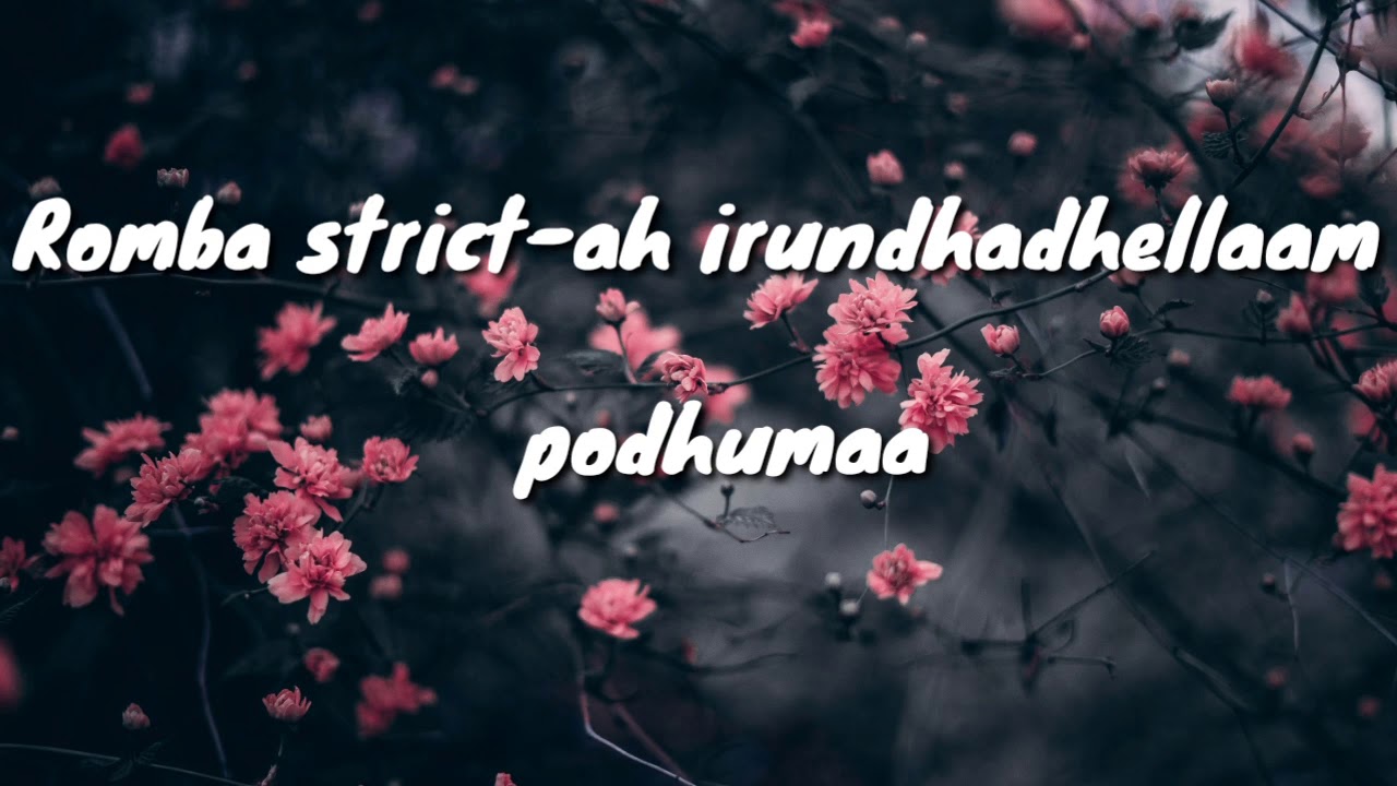 chellamma chellamma song lyrics,Doctor YouTube