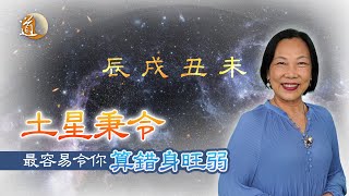 八字基礎〡讓你認識八字命理中土星之特性，認清方法分辨身旺弱