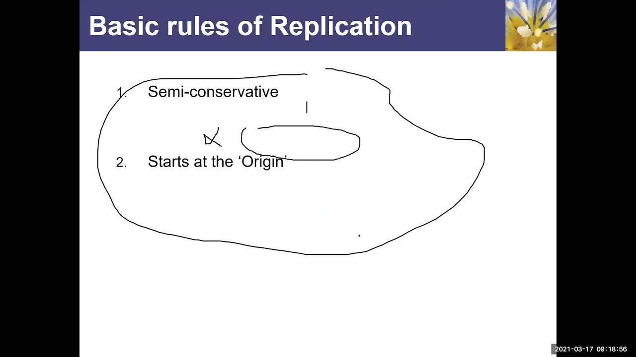 Nucleotides and Nucleic acids - Part 4