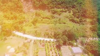 Aerial View Of Pestales Braveheart Farm