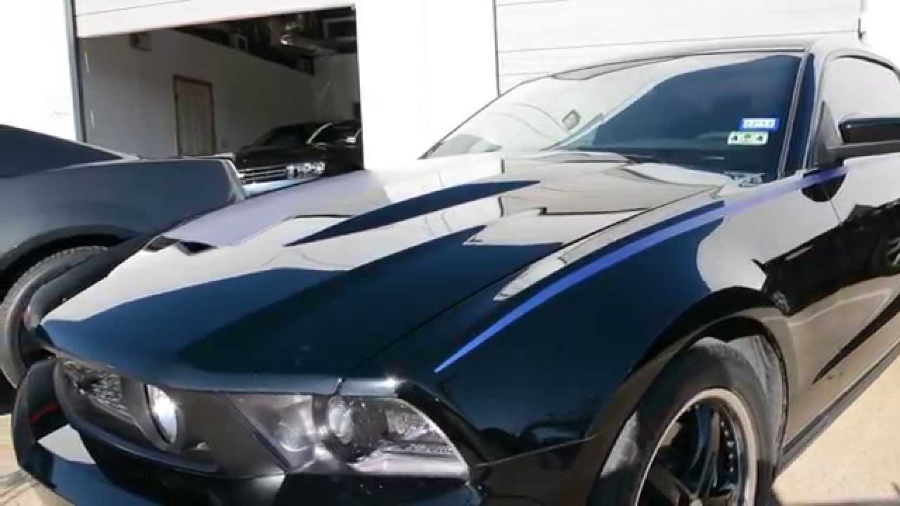 Big Worm Graphix TOP SHOP