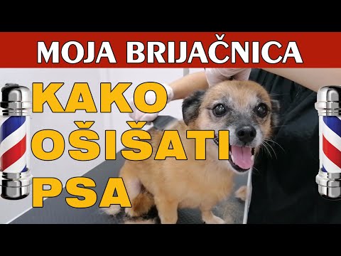 Video: Kako Pregledati Svog Psa Kod Kuće