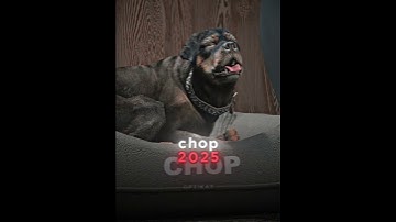 GTA 5 | Chop is always an OG 💀🟢 #gta #gta5 #gtasa