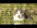 Большая Байкальская Тропа. Одиночный поход. Большие Ко́ты. Пожарник. 1080p