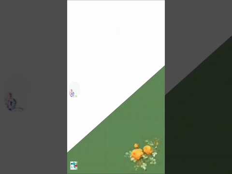 محفل انس با قرآن 