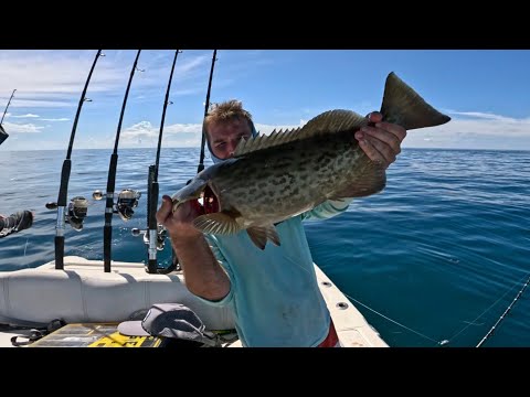 Epic Shallow Water Gag Grouper Bite Chumming Paid Off in less than 60 Feet of Water!