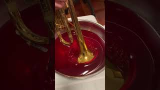 Famous Trumpet in JELLO! Net Worth