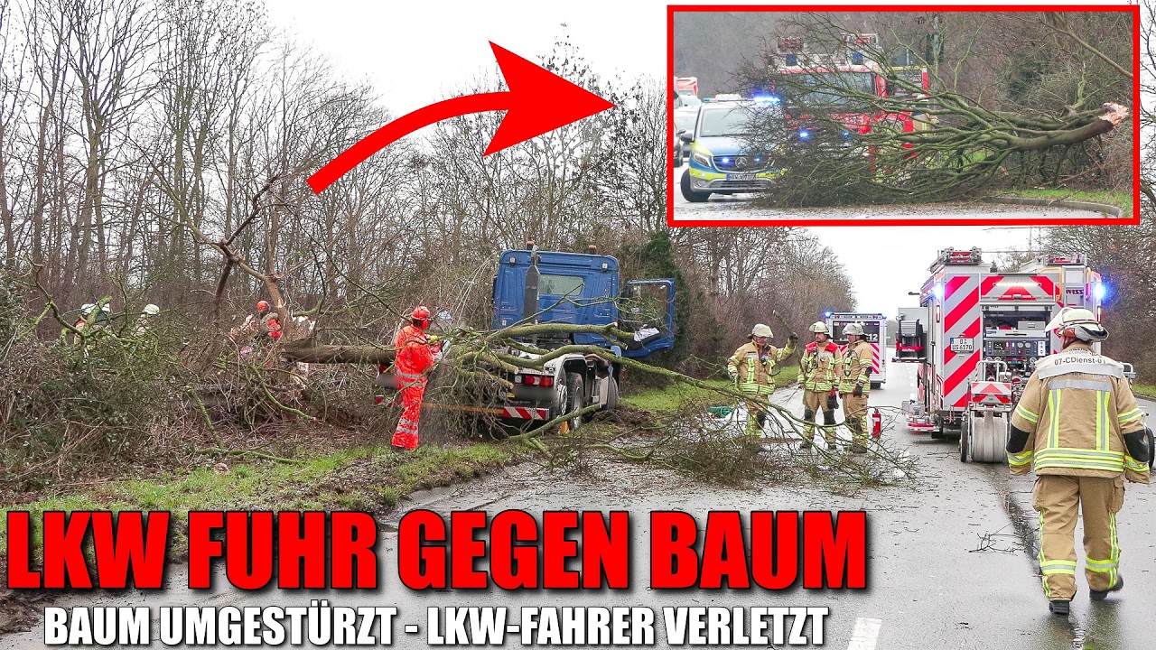 [LKW FUHR GEGEN BAUM!] - Umgestürzter Baum durch Feuerwehr beseitigt - Fahrer verletzt - Düsseldorf