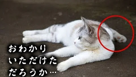 تحميل おわかりいただけただろうか 素材