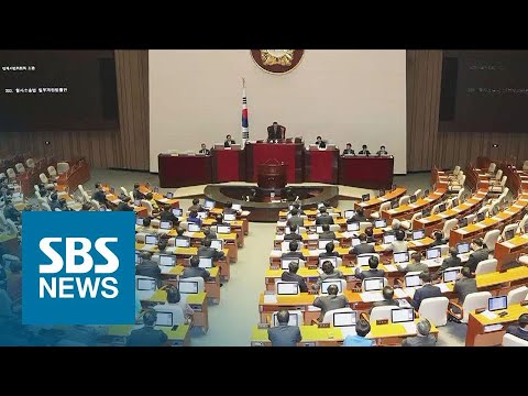 <strong>민생법안</strong> 198건 모두 가결…검경수사권 조정안 상정 / SBS
