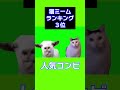 最強の猫ミームランキング!meme!やっぱりアレが1位