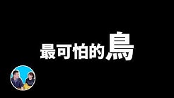 老高與小茉mr Mrs Gao Youtube